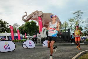 BIB: 
                            <button type="button" onclick="openModal(26529072)" class="btn btn-primary btn-sm float-right btn-popup" data-toggle="modal" data-target=".modal-high-quality">
                        <i class="fas fa-shopping-cart"></i> Add to Cart
                    </button>
                                            <button type="button" onclick="isThisMe(26529072, true)" class="btn btn-success btn-sm float-right btn-popup btn-isme hidden" data-toggle="tooltip" data-placement="bottom" title="นี่คือรูปของคุณใช่ไหม คลิกที่นี่เพื่อเอาเข้าอัลบั้ม">
                        <i class="fas fa-plus"></i> Add to album
                    </button>
                    <button type="button" onclick="isThisMe(26529072, false)" class="btn btn-warning btn-sm float-right btn-popup btn-isnotme hidden">
                        <i class="fas fa-ban"></i> Remove from album
                    </button>